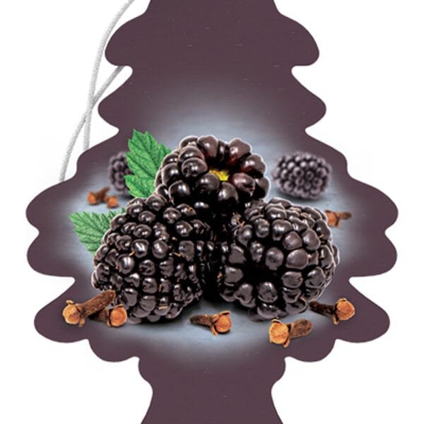 Little Trees Car freshener - Blackberry Clove