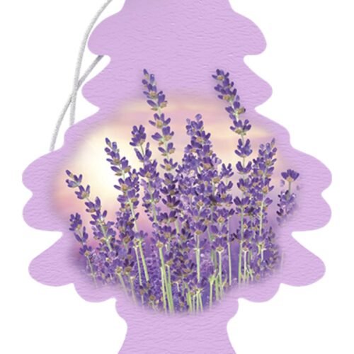Little Trees Car freshener- Lavender