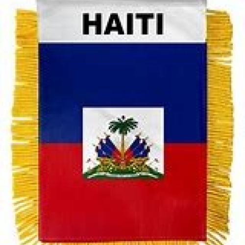Mini Banner Haiti