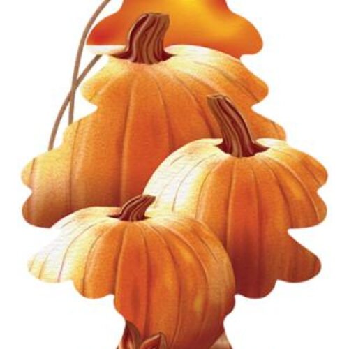 Little Trees Car freshener- Warm Pumpkin Spice