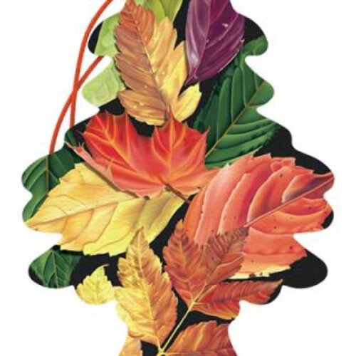 Little Trees Car freshener- Crisp Autumn Air